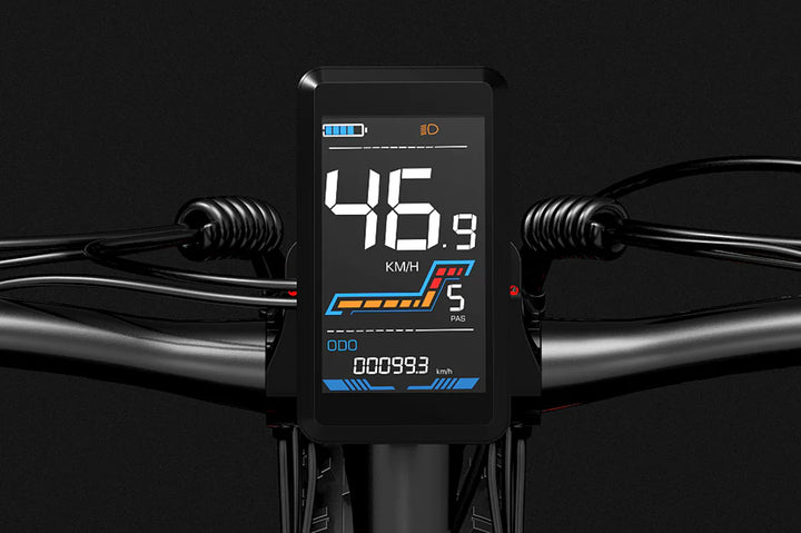 Lankeleisi MG740 Plus Dual Motor Electric Bike