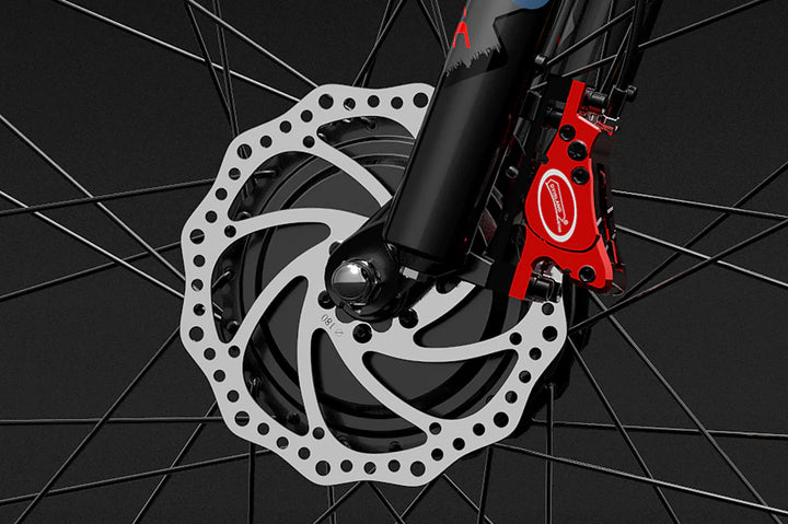 Lankeleisi MG740 Plus Dual Motor Electric Bike