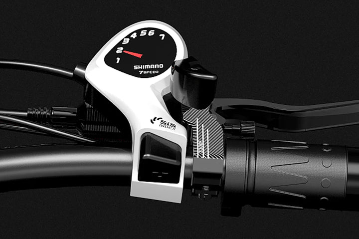 Lankeleisi MG740 Plus Dual Motor Electric Bike